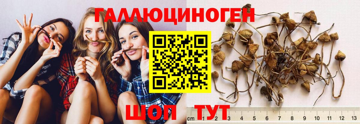 Ликино-Дулёво  Псилоцибиновые грибы Psilocybe  Галлюциногенные грибы мицелий  Вход с VPN 