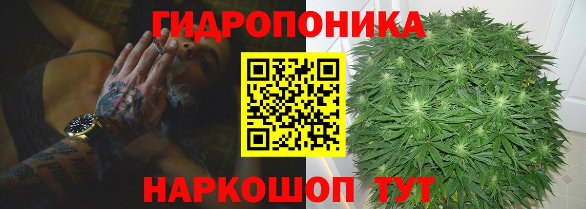 Конопля ГИДРОПОН Ликино-Дулёво